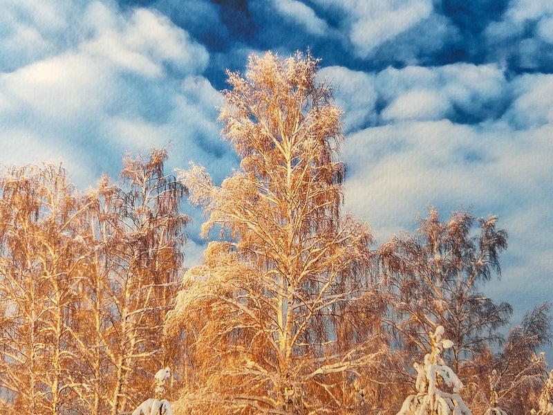 Finestra Art 11" X 14" Cold Press Watercolor Fine Art Inkjet Paper - 50 Sheets - Image 1